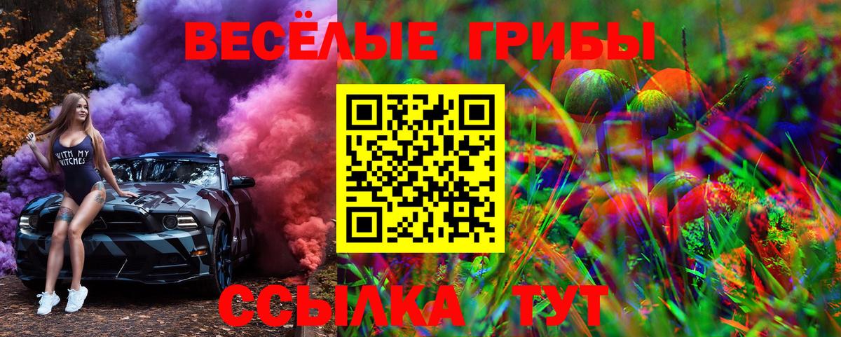 Псилоцибиновые грибы MAGIC MUSHROOMS  Галлюциногенные грибы мицелий  Благовещенск  Вход с VPN 