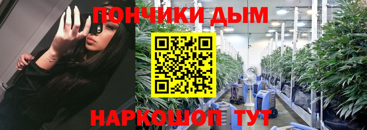 Благовещенск  МАРИХУАНА тримм  Вход с VPN  Канабис план  Каннабис OG Kush  Шишки марихуана индика 